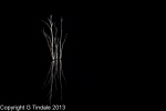 photos-5.jpg