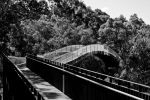 photos-15.jpg